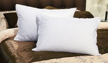 Подушка классическая Аскона Organic